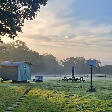 Skylark Shepherds Hut Royal Tunbridge Wells Bagian luar foto